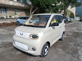 五菱汽车 宏光MINIEV 2024款 第三代 215km 青春版