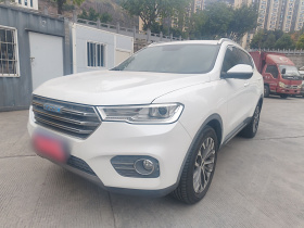 哈弗H6 2017款 蓝标 2.0T 自动两驱智尚型