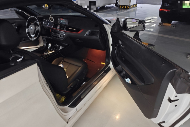 宝马2系(进口) 2018款 220i 敞篷轿跑车 运动设计套装局部细节9005