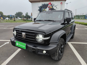 坦克300 2021款 越野版 2.0T 征服者