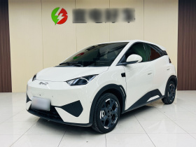 比亚迪 海鸥 2025款 智驾版 305km 自由版