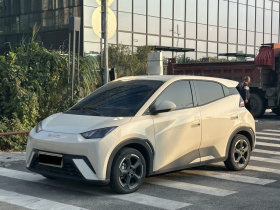 比亚迪 海鸥 2023款 飞翔版