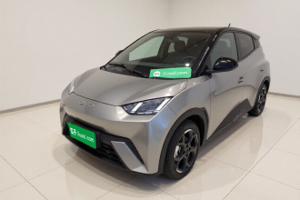 比亚迪 海鸥 2024款 荣耀版 305km 自由版