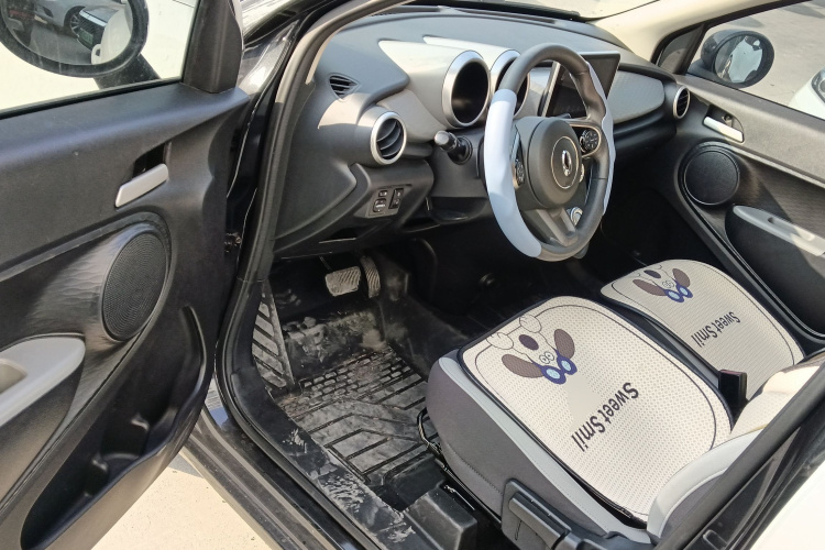 欧拉黑猫 2021款 405km 长续航型中控内饰20