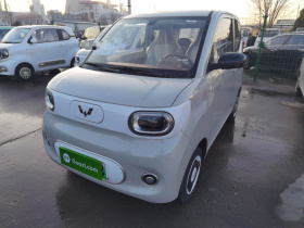 五菱汽车 宏光MINIEV 2024款 第三代 215km 青春版