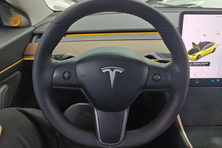 特斯拉 Model 3 2019款 标准续航后驱升级版局部细节13