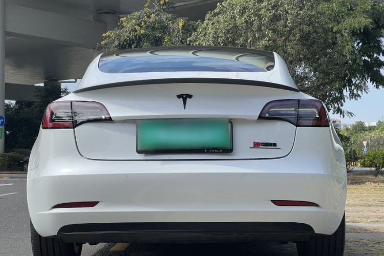 特斯拉 Model 3 2020款 改款 标准续航后驱升级版车身外观6001