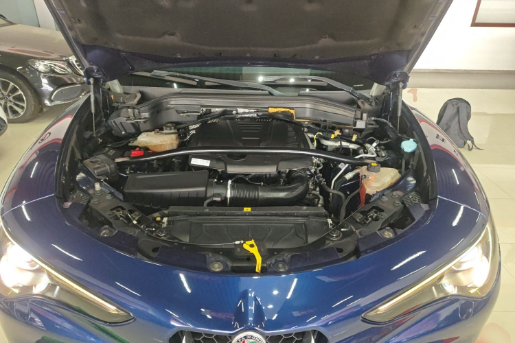 阿尔法·罗密欧 Stelvio斯坦维 2017款 2.0T 200HP 精英版机舱底盘24
