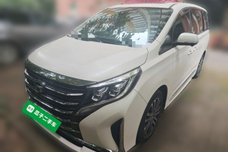 广汽传祺 传祺M8 2021款 领秀系列 390T 至尊版