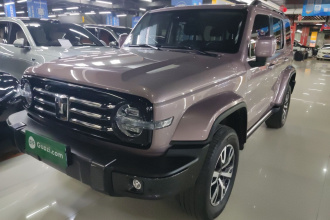 坦克300 2023款 城市版 2.0T 很有型