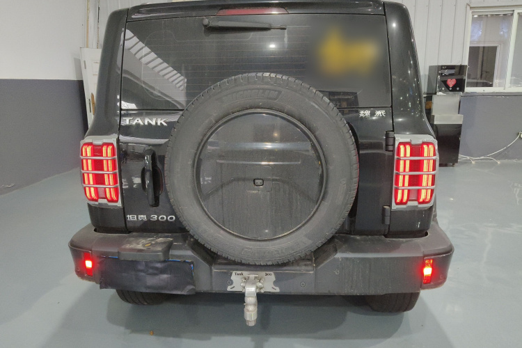 坦克300 2021款 城市版 2.0T 很有型车身外观6004