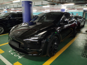 特斯拉 Model Y 2022款 Performance高性能全轮驱动版