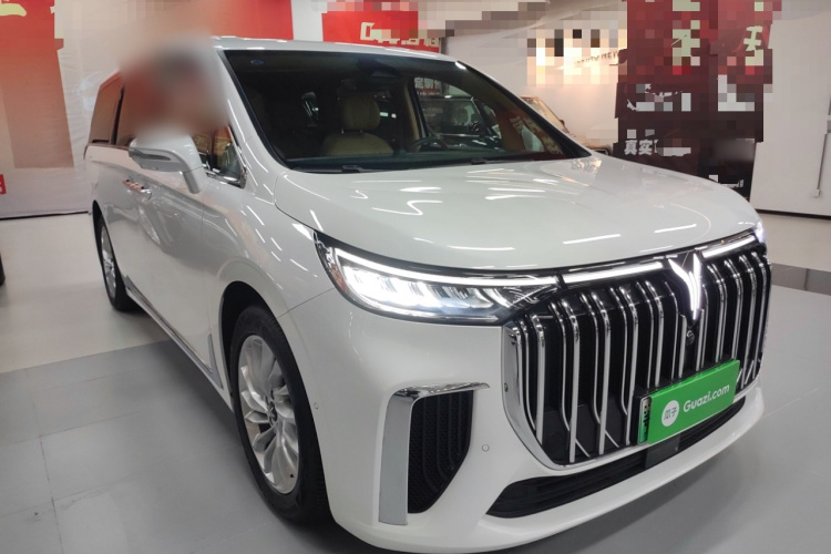 岚图汽车 岚图梦想家 2022款 低碳版 想+智驾包车身外观6002