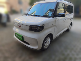 五菱汽车 五菱之光新能源 2025款 305km 进取型