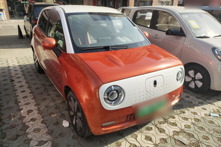 欧拉黑猫 2021款 351km 豪华型车身外观3