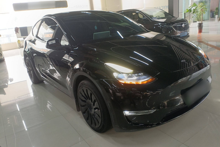 特斯拉 Model Y 2021款 标准续航后驱版车身外观6002