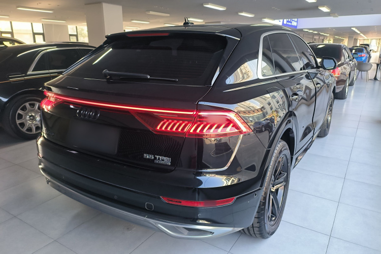 奥迪Q8 2019款 45 TFSI 豪华致雅型车身外观6005