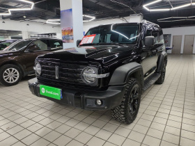 坦克300 2021款 越野版 2.0T 征服者