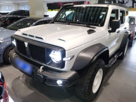 坦克300 2023款 2.0T 铁骑02