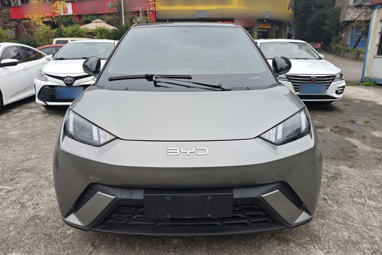 比亚迪 海鸥 2024款 荣耀版 305km 活力版车身外观2