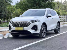 魏牌 拿铁DHT 2022款 1.5T DHT超大杯