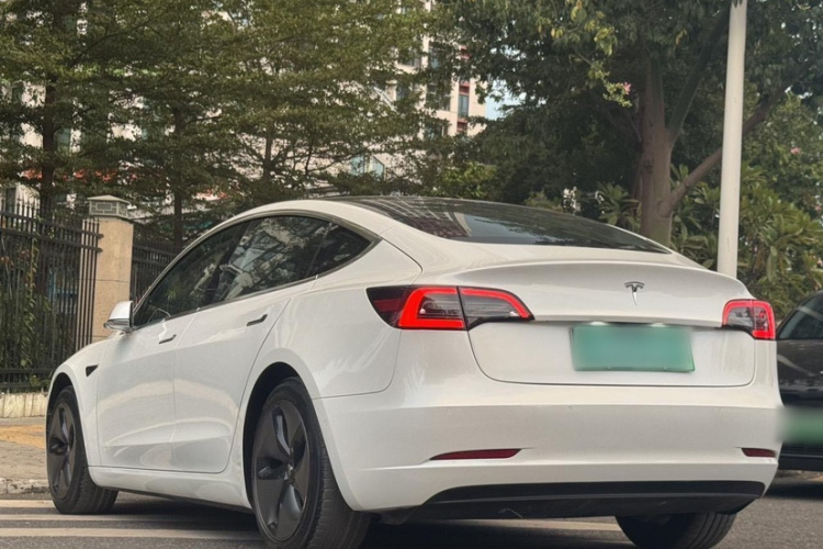 特斯拉 Model 3(进口) 2019款 长续航后驱版车身外观6005