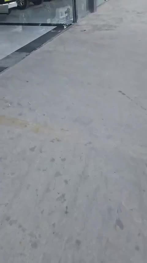 大众 桑塔纳 2021款 1.5L 自动风尚版讲解2