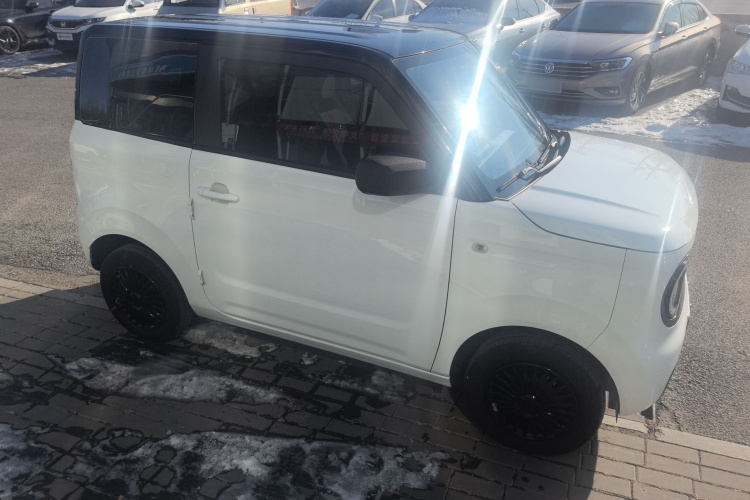 吉利银河 2024款 熊猫mini 200km 耐力熊车身外观6002