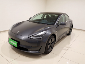 特斯拉 Model 3 2019款 标准续航后驱升级版