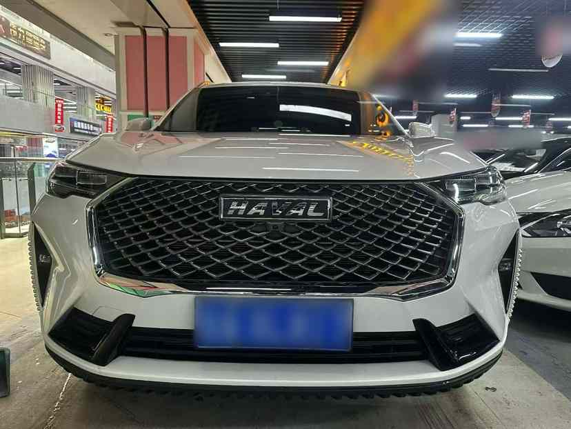 哈弗H6 2024款 1.5T 两驱经典版(5)