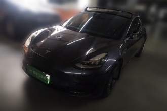 特斯拉 Model 3 2019款 标准续航后驱升级版