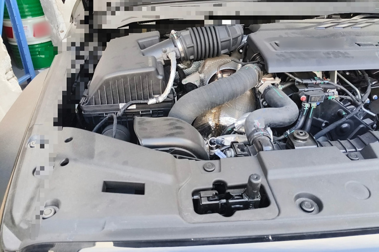 坦克300 2025款 2.4T 柴油版局部细节9006