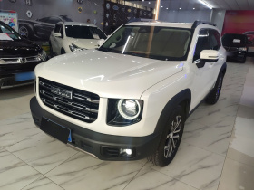 哈弗大狗 2021款 1.5T DCT两驱边牧版