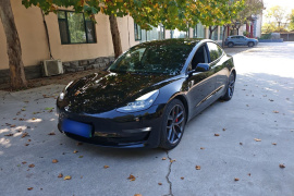特斯拉 Model 3 2022款 Performance高性能全轮驱动版