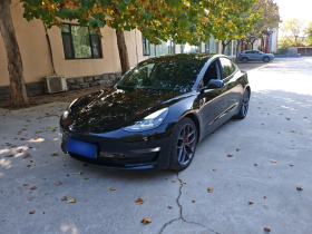 特斯拉 Model 3 2022款 Performance高性能全轮驱动版