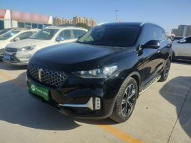 魏牌 VV6 2021款 2.0T 两驱智护+