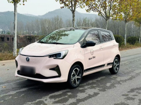 长安欧尚 奔奔E-Star 2022款 清心版 多彩款 磷酸铁锂