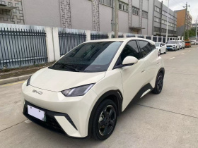 比亚迪 海鸥 2023款 飞翔版