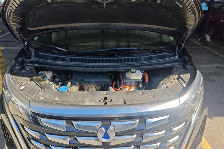 腾势D9 2024款 DM-i 1050 尊享型局部细节24