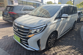 广汽传祺 传祺M8 2023款 领秀系列 390T 至尊版