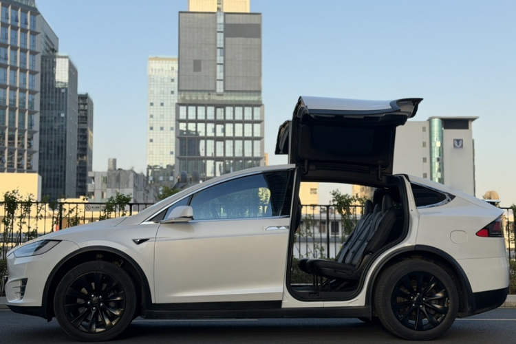 特斯拉 Model X 2019款 长续航版车身外观6006