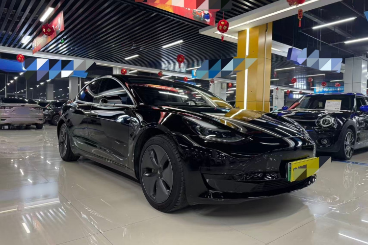 特斯拉 Model 3 2019款 标准续航后驱升级版车身外观6004