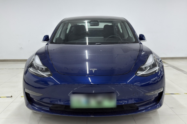 特斯拉 Model 3(进口) 2019款 长续航全轮驱动版车身外观6005
