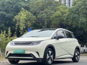 比亚迪 海豚 2023款 420km 时尚版