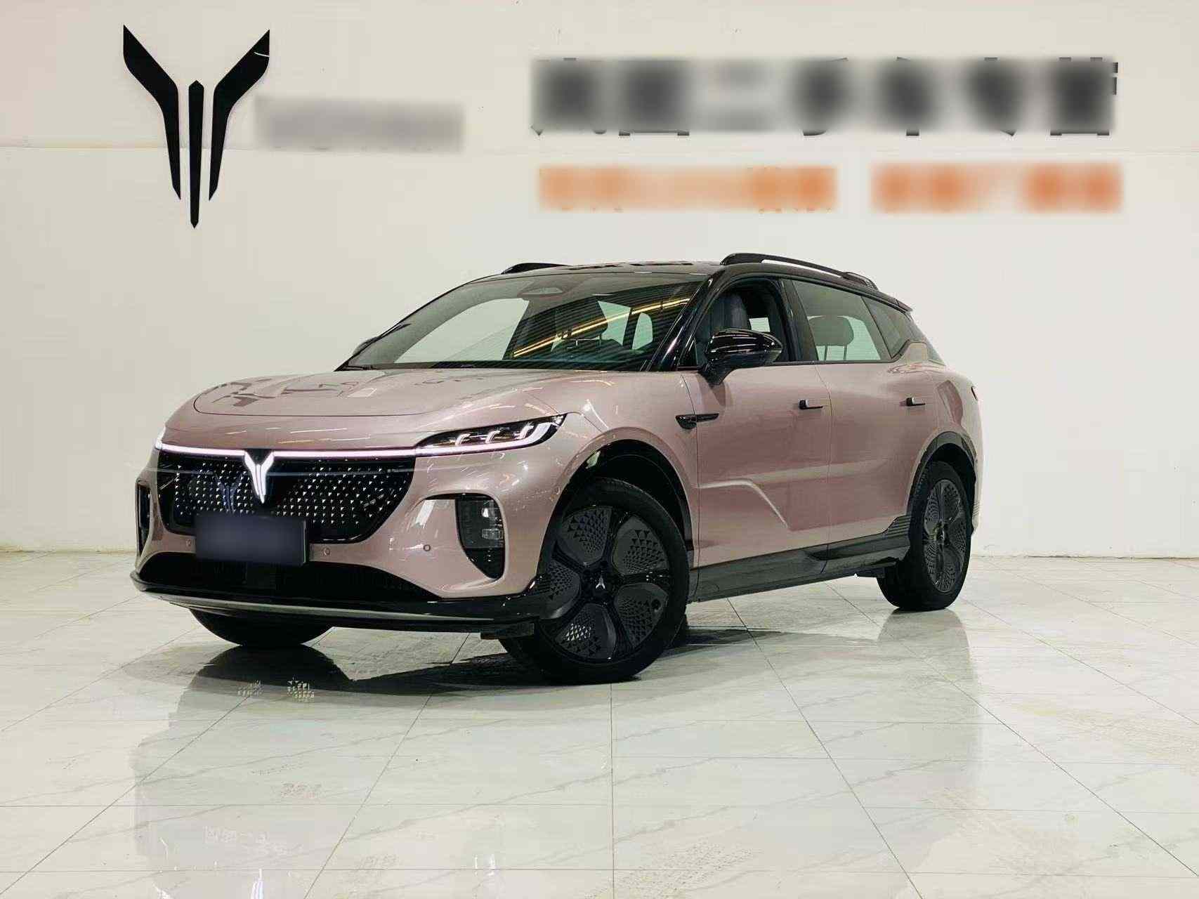 岚图汽车 岚图知音 2024款 四驱全球版(2)