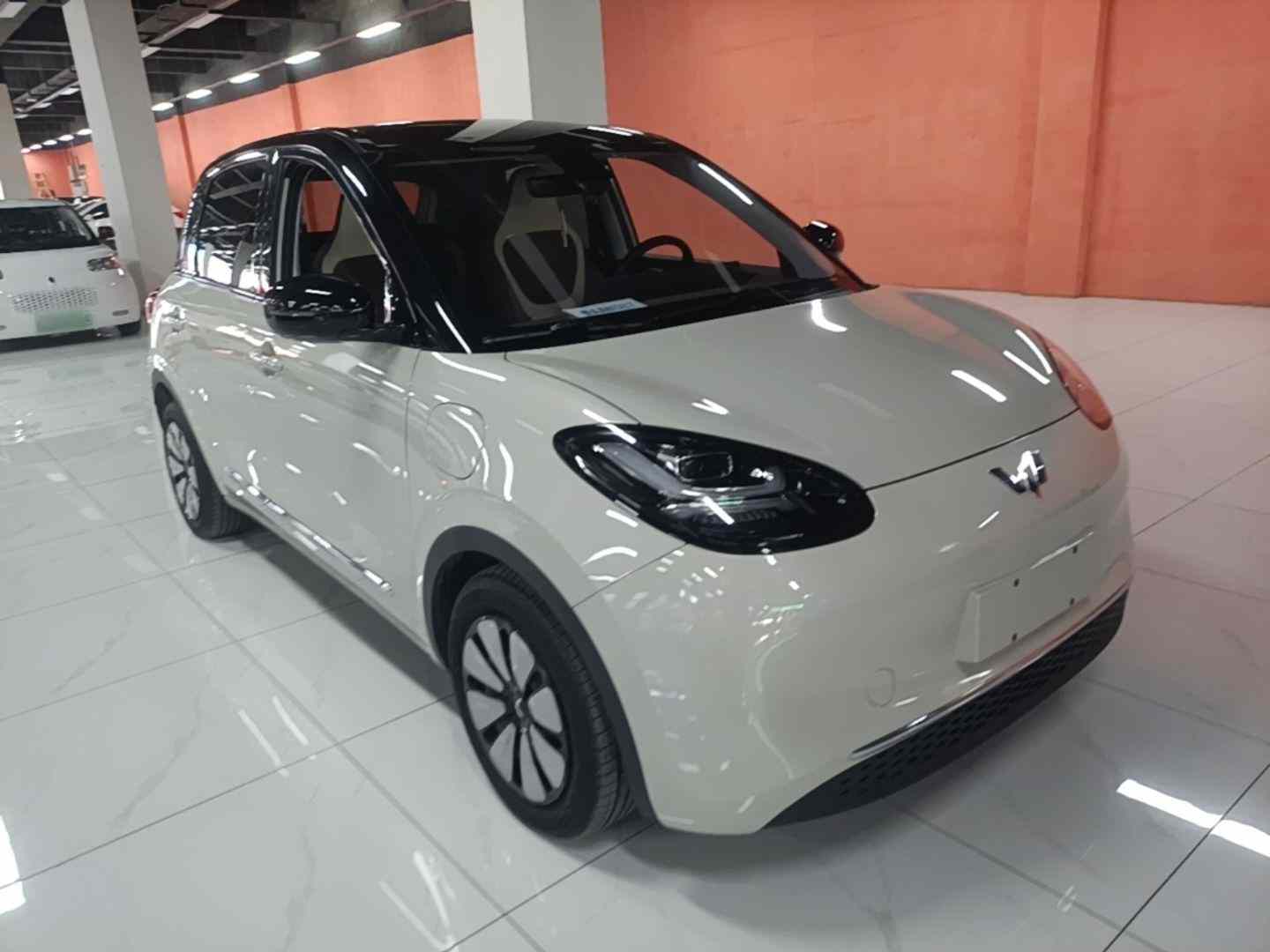 五菱汽车 五菱缤果 2023款 410km 灵犀尊享款(5)