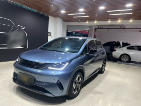 比亚迪 海豚 2025款 智驾版 420km 自由版