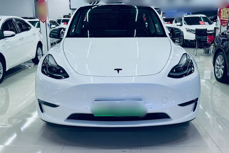 特斯拉 Model Y 2021款 标准续航后驱版车身外观6003