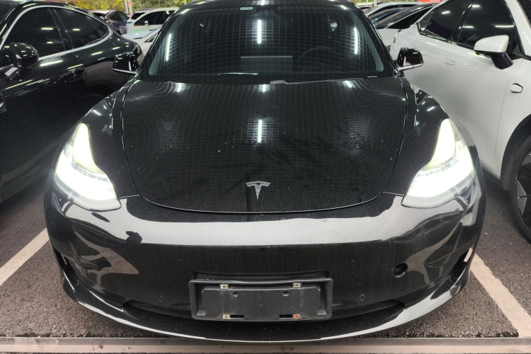 特斯拉 Model 3 2020款 标准续航后驱升级版车身外观6001