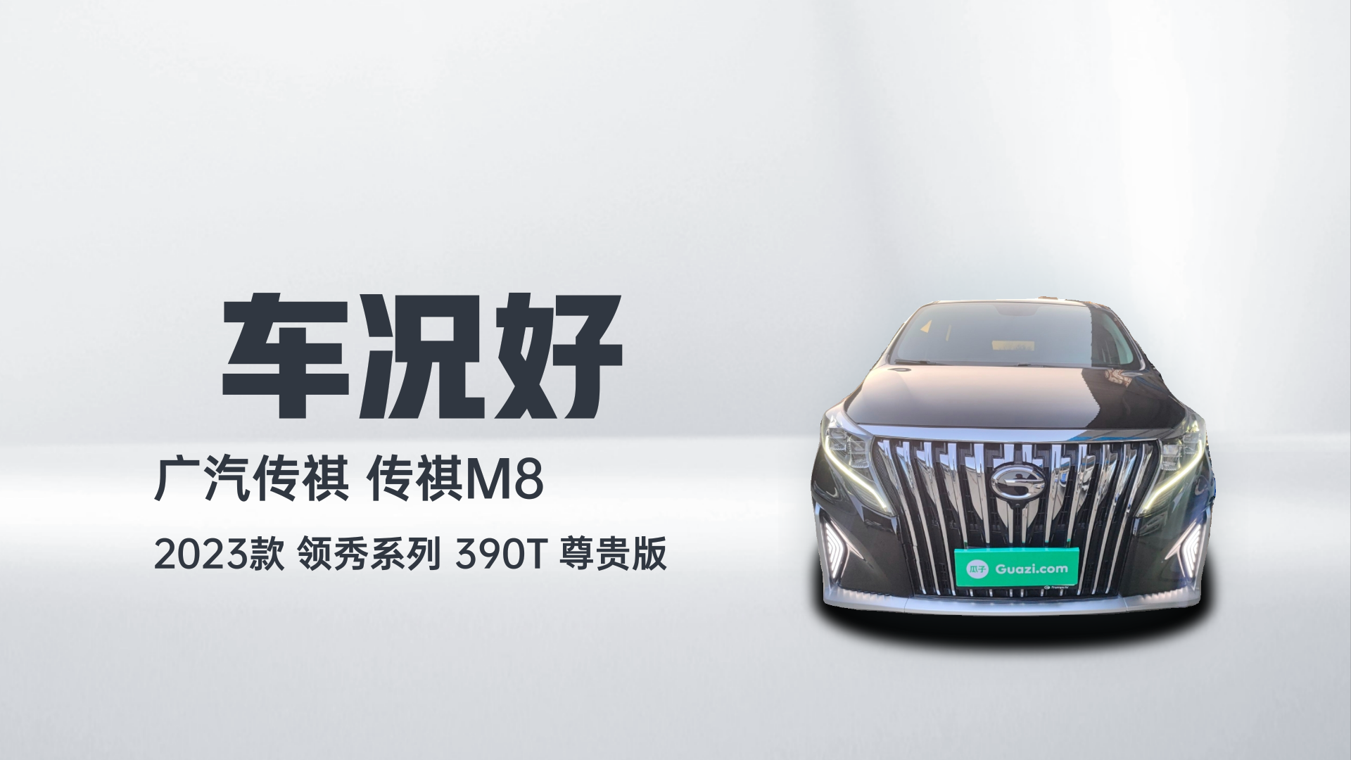 广汽传祺 传祺M8 2023款 领秀系列 390T 尊贵版解读1